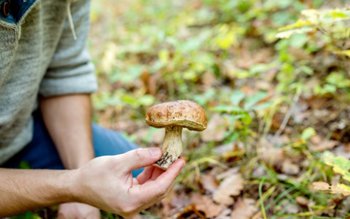 Cum recunoaștem și cum evităm …