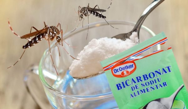 Cum scapi de țânțari cu bicarbonat de sodiu, soluție naturală și ieftină, preparată în casă