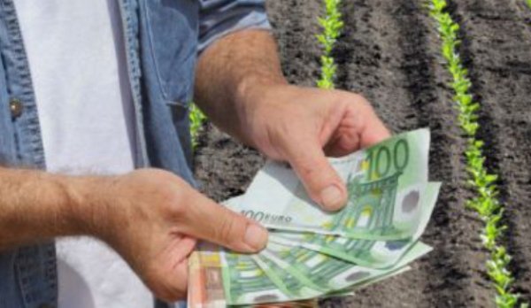 Fermierii pot beneficia de 15.000 euro pentru dezvoltarea exploatațiilor agricole de mici dimensiuni