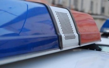 Trei „viteji” din Vorona cercetați …