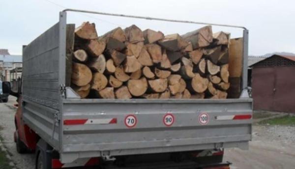 Material lemnos confiscat și cinci mii de lei amendă pentru un tânăr din Dorohoi