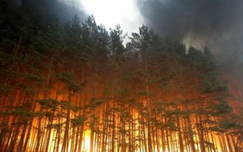 Atenționare de călătorie. Românii care …