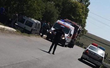 A izbit autoutilitara într-un copac …