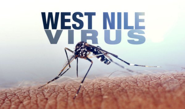 Cum ne protejăm de meningită sau West-Nile