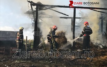 Incendiu la Cobâla: Patru tone …