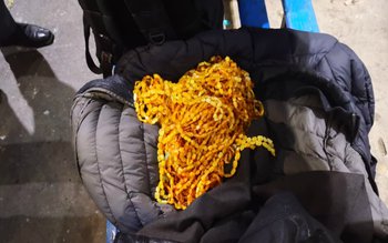 Chihlimbar sub formă de șiraguri …