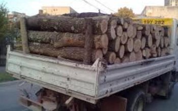 Material lemnos confiscat de poliţişti …