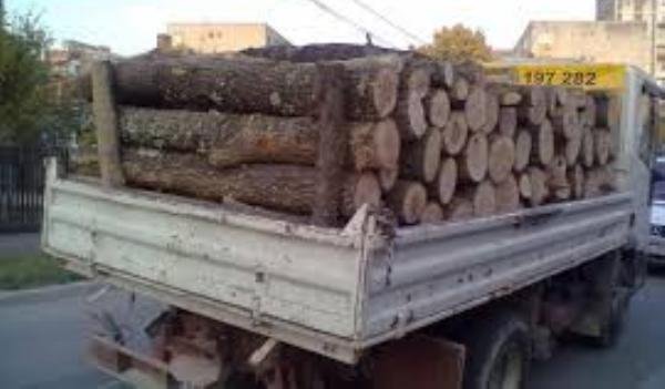 Material lemnos confiscat de poliţişti la Flămânzi