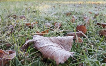 Localitatea din România în care …
