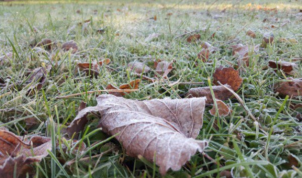 Localitatea din România în care a venit IARNA! Minus 4,2 grade, în această dimineață