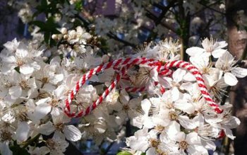 Propunere legislativă a mai multor …