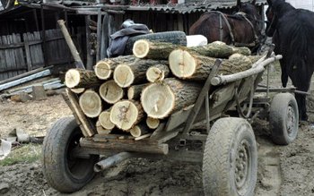 Doi indivizi au dat atacul …