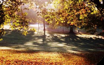 Prognoza meteo 30 septembrie – …