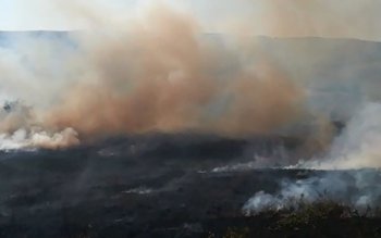 Pompierii în alertă! Zeci de …