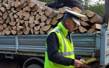 Bărbat sancţionat pentru transport ilegal …