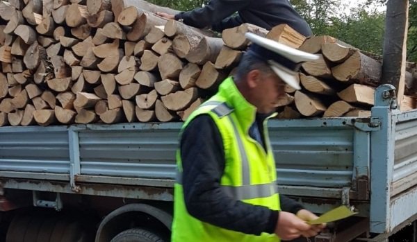 Bărbat sancţionat pentru transport ilegal de material lemnos