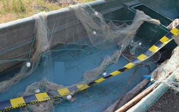 Razii de combatere a pescuitului …