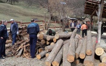 Lemn fără acte, confiscat de …