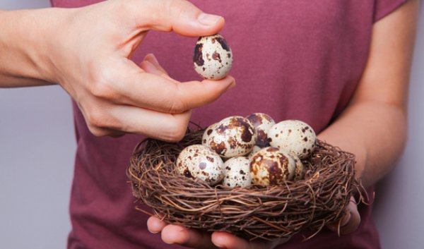 Beneficiile reale ale ouălor de prepeliță