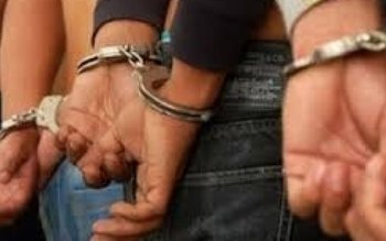 O reţea compusă din 13 …