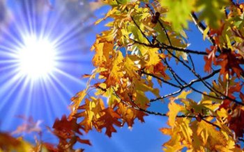 Vin zile calde și însorite. …