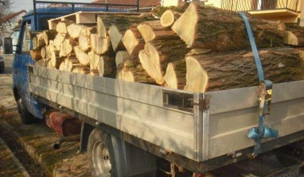 5.000 de lei amendă şi 3 metri cubi de lemn confiscat de către poliţişti