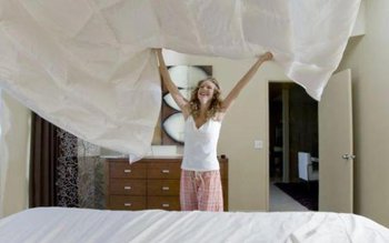 Bolile din așternut: cât de …