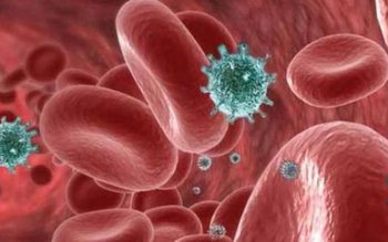 Mituri despre cancer: Adevărat și …