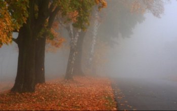 Schimbare bruscă a vremii. Temperaturile …