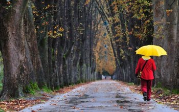 PROGNOZA METEO - Scad temperaturile, …