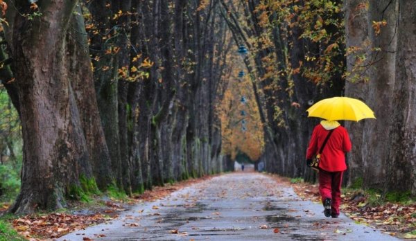 PROGNOZA METEO - Scad temperaturile, iar ploile nu contenesc până în decembrie. Când vin ninsorile