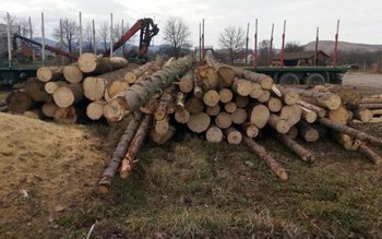 Control la un depozit de …