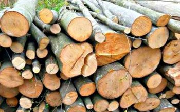 Bărbați din Cristinești prinși de …