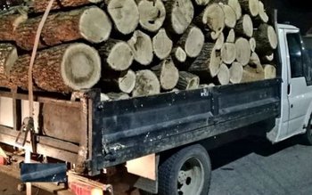 Un dorohoian transporta ilegal lemn! …