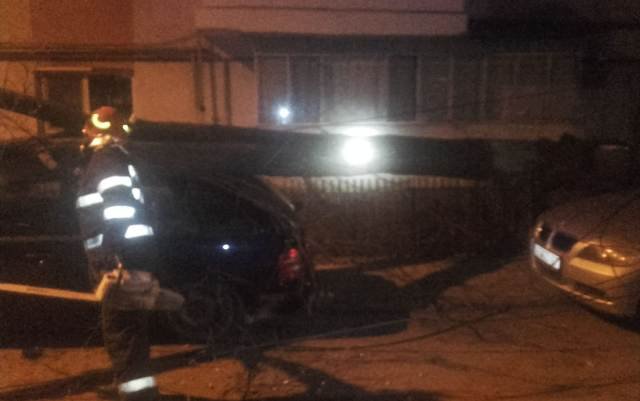 Copac căzut peste trei mașini pe o stradă din Botoșani - FOTO