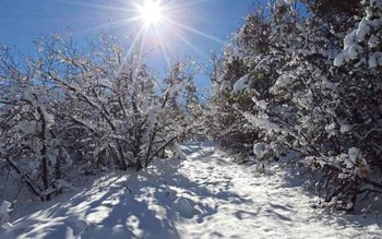 Prognoza meteo pe o lună, …
