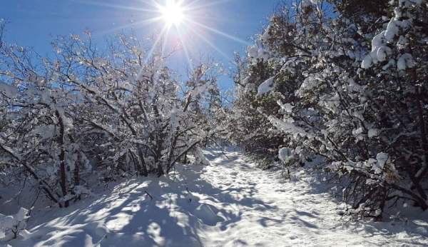 Prognoza meteo pe o lună, revizuită. Schimbări majore: cum va fi vremea până pe 27 IANUARIE