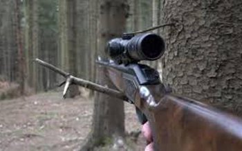 Incident pe un fond de …