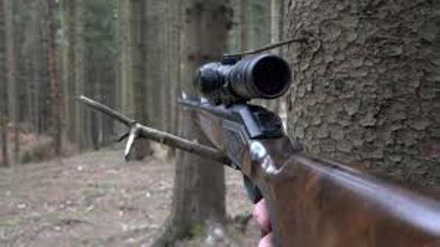Incident pe un fond de vânătoare din Botoșani! Bărbat împușcat în picior din greșeală