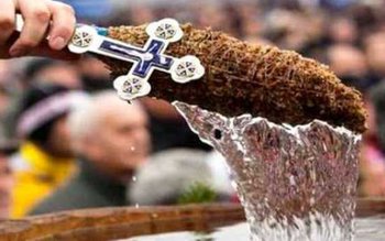 Ce faci cu busuiocul de …