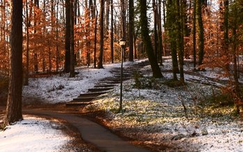 Temperaturi neaşteptate. Vremea se încălzeşte …