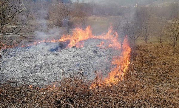 Două incendii de vegetație uscată, în mai puțin de o oră