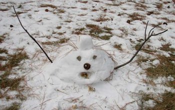 Vine primăvara? Temperaturi neobişnuite pentru …