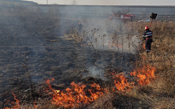 Incendiu de vegetație la marginea …