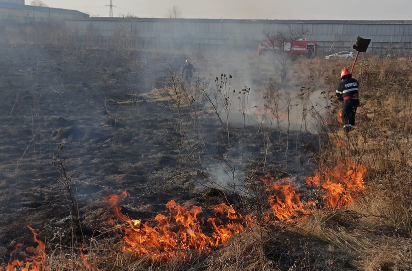 Incendiu de vegetație la marginea Botoșaniului. Focul a ajuns la casele din apropiere și lângă un fost depozit - FOTO