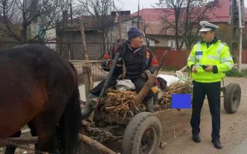 Cum au strâns poliţiştii botoșăneni …