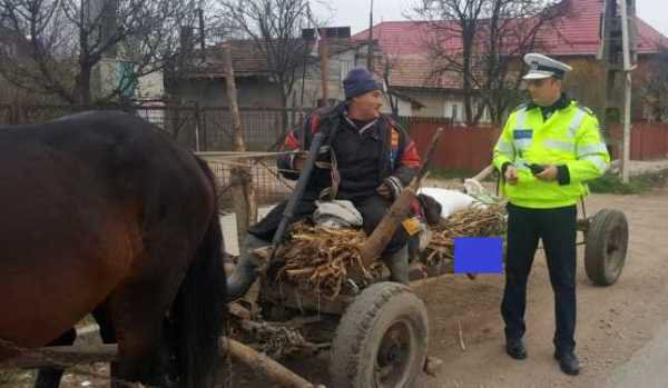 Cum au strâns poliţiştii botoșăneni peste 34.000 de lei de la căruţaşi