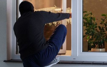 Când proprietarul nu e acasă, …