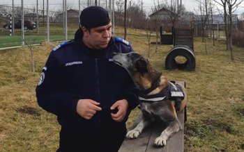 Prieteni până la sfârșit - …