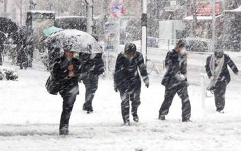 După episodul de primăvară din …